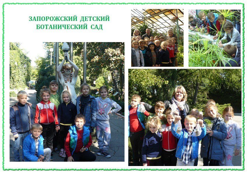 Запорожский детский ботанический сад Запорожский детский ботанический сад