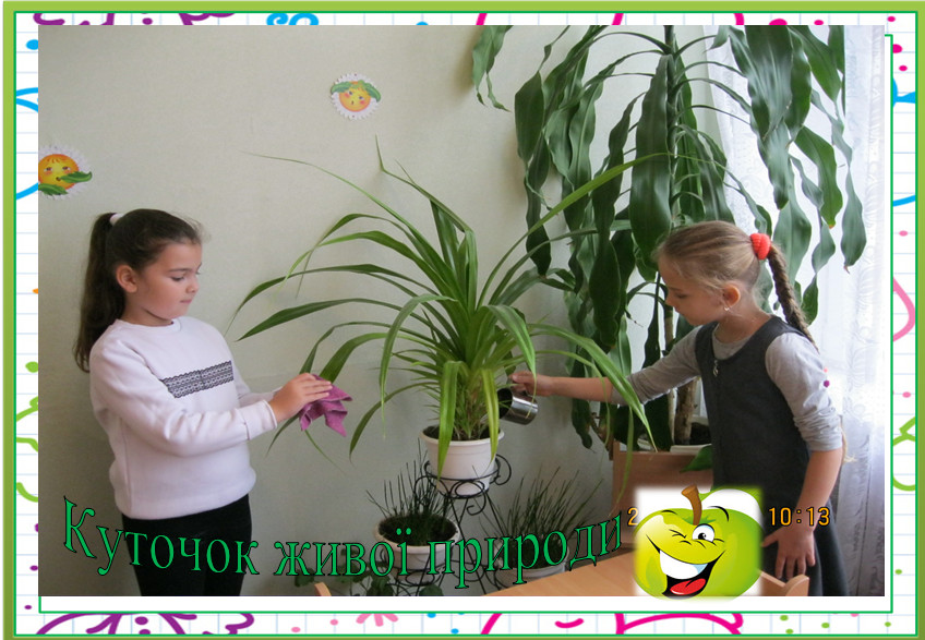 Куточок живої природи 1-Б Куточок живої природи 1-Б