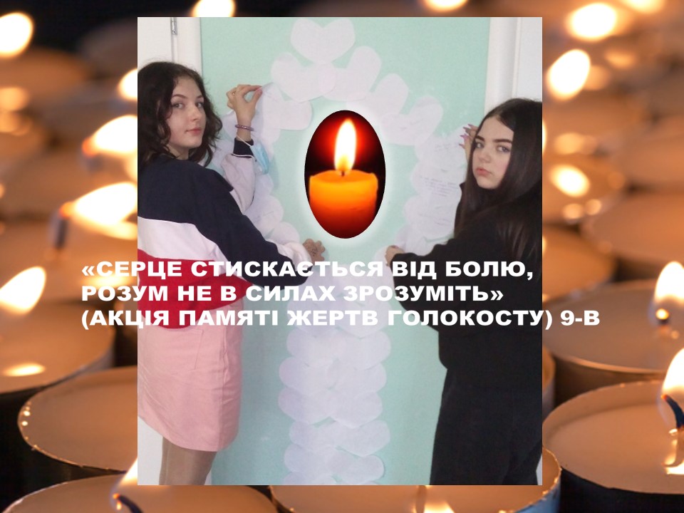 ��ֲ� ����Ҳ ����� ���������